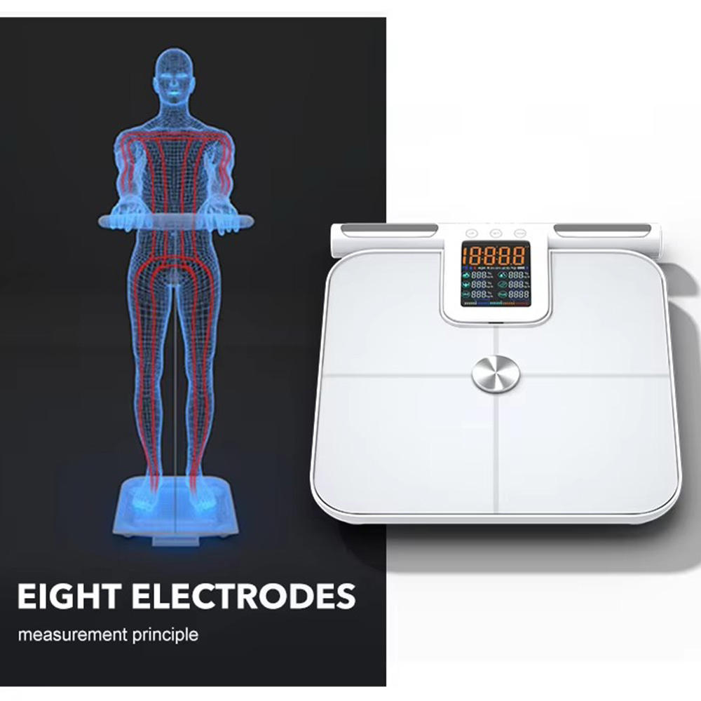 Smart Body Fat Scale for with  - Body Fat Scale Smart ulasan dan harga